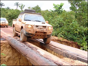 -amazonia-848.jpg