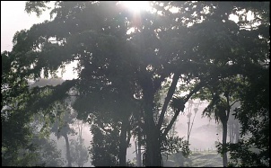 -tour_faz-pousada-liberdade_sul-da-ba_itabuna_amanhecer.jpg