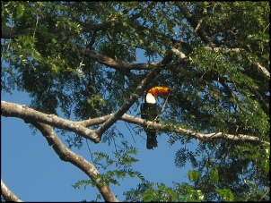 -acampamento-no-pantanal-001.jpg