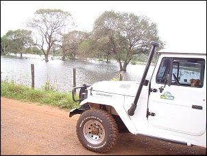 Expedicao pantanal sul - julho/14 - roteiro turistico-dsc01994-large-.jpg