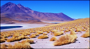 -atacama-2.jpg