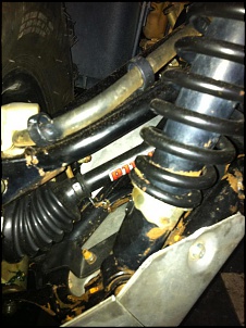 Quadriciclos / ATVs-img_06161.jpg