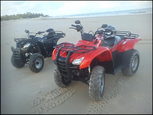 Ferrugem nas dunas de Arraial do Cabo-image.jpg