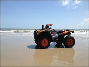 Pintura rodas Fourtrax-img_1001.jpg