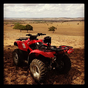 Honda Fourtrax 2013-image.jpg