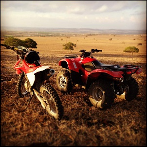 Aventuras com o meu Fourtrax 420-image.jpg