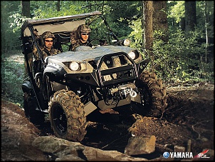 Yamaha Rhino-rhino_wall-703998.jpg