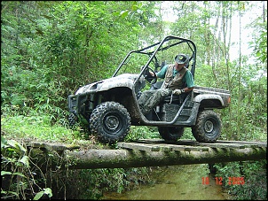 Yamaha Rhino-macumba.jpg