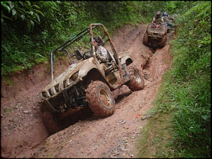 Yamaha Rhino-camel4877.jpg