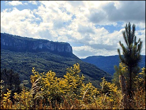 -dscf2391.jpg