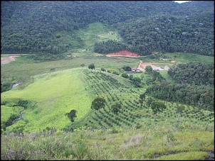 Trilha Nova Friburgo Sumidouro(Mariana)-100_0499-800599.jpg