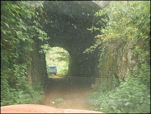 Trilha Nova Friburgo Sumidouro(Mariana)-s2010084.jpg