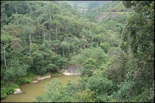 Trilha Nova Friburgo Sumidouro(Mariana)-dsc03196.jpg