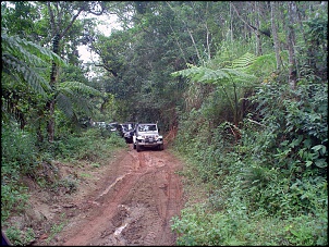 Trilha Nova Friburgo Sumidouro(Mariana)-18maio993.jpg