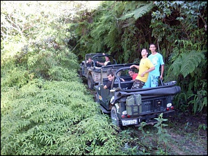 Trilha Nova Friburgo Sumidouro(Mariana)-sdc10477.jpg