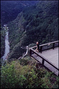 Relato: Passeio pelos campos de cima da serra-rs-canela-42-sh98.jpg