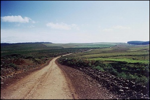 Relato: Passeio pelos campos de cima da serra-rs-s.jose-dos-ausentes-08-sh98.jpg