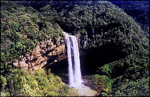 Relato: Passeio pelos campos de cima da serra-rs-canela-13-sh100.jpg