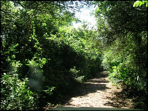 Estrada Real: Caminho dos Diamantes + Caminho Velho-er_-11dez-2009-142-2-.jpg