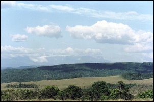 Rumo Norte  S.Paulo - Monte Roraima-venezuela2.jpg