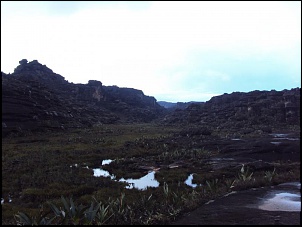 Rumo Norte  S.Paulo - Monte Roraima-dsc02633.jpg