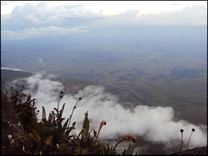 Rumo Norte  S.Paulo - Monte Roraima-dsc02667.jpg