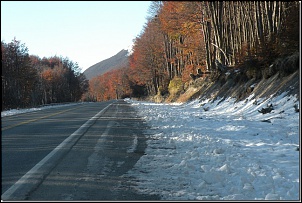 -tr4-45.jpg