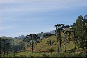 Paraty - Cunha - Silveiras - Bocaina-dsc03876.jpg