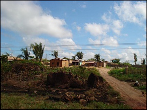 -sele-o-361-.jpg