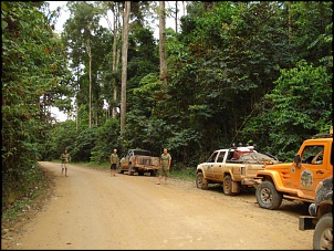 -sele-o-439-.jpg