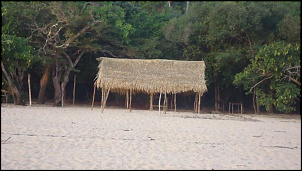 -sele-o-909-.jpg
