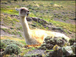 Curitiba a Ushuaia -2012/2013-057.jpg