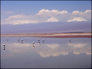Norte da Argentina (Salta, Purmamarca, Cafayate) e Chile (Atacama) em 10 dias-spa-r-n-flamingos-3.jpg