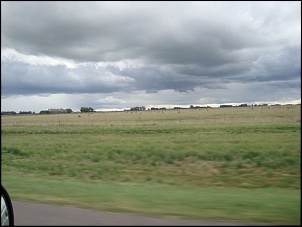 -pampa-argentino.jpg