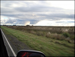 -pampa-argentino2.jpg