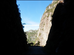 -p7291193.jpg
