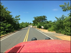 -caldas-novas-jalapao-lencois-jeri-2014-2015-456.jpg