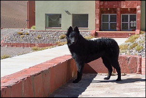 -hotel-cortaderas.jpg
