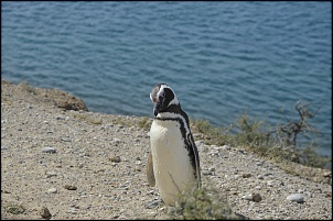 Eu a patroa e a pequena,Ushuaia 2016 passando por Uruguai e Chile-3.jpg