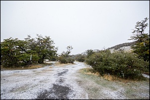-dsc_0704.jpg