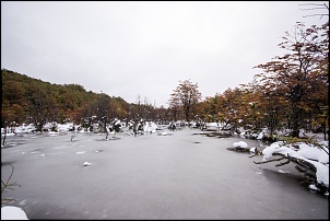 -dsc_0044.jpg