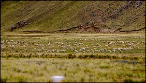 Altiplano 2016 - Peru e Chile via Acre-img_2135.jpg