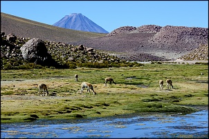 Altiplano 2016 - Peru e Chile via Acre-img_4469.jpg