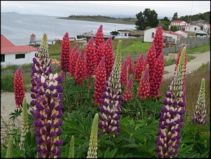 -img_1914.jpg