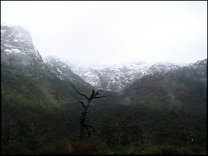 Cordilheira dos Andes-dsc02894.jpg