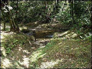 Visita de Parque Nac. Serra da Bocaina-2o.-riachinho.jpg