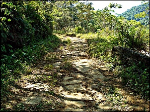 Visita de Parque Nac. Serra da Bocaina-trilha-de-ouro-pedra-pe-de-moleque.jpg