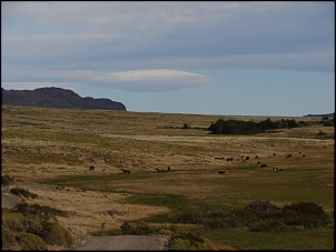 Cordilheira dos Andes-dsc03091.jpg