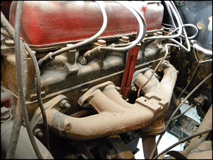 febre da ferrugem-f-75-011.jpg