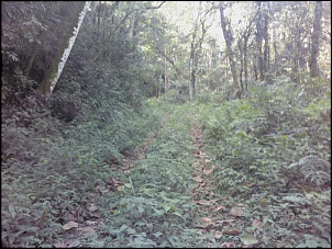 Mais uma F 75-img125-01.jpg